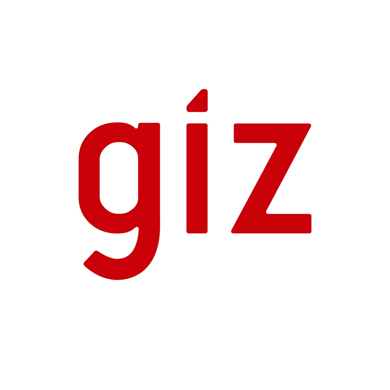 logo de giz